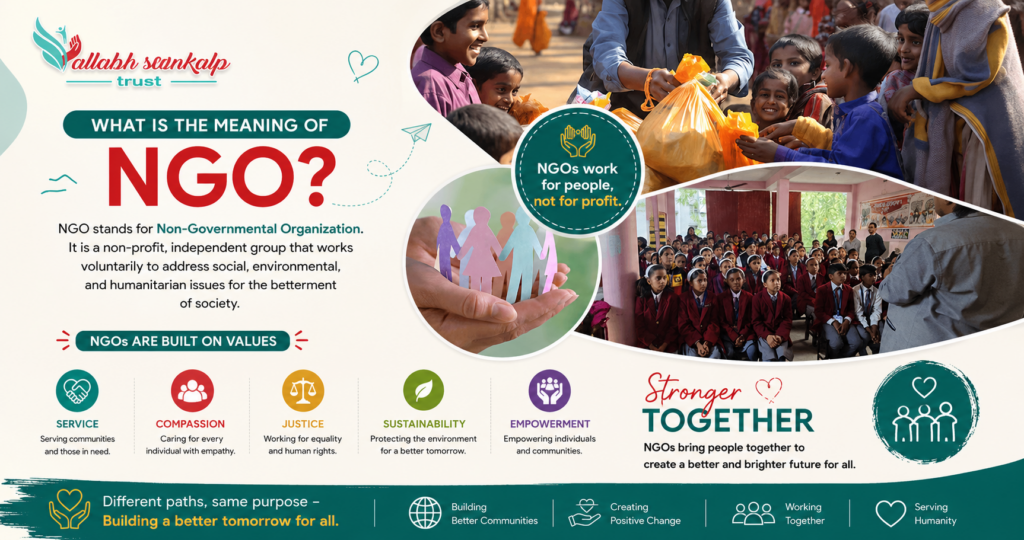 What Is the Meaning of NGO
