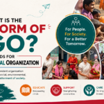 What is NGO Full Form?