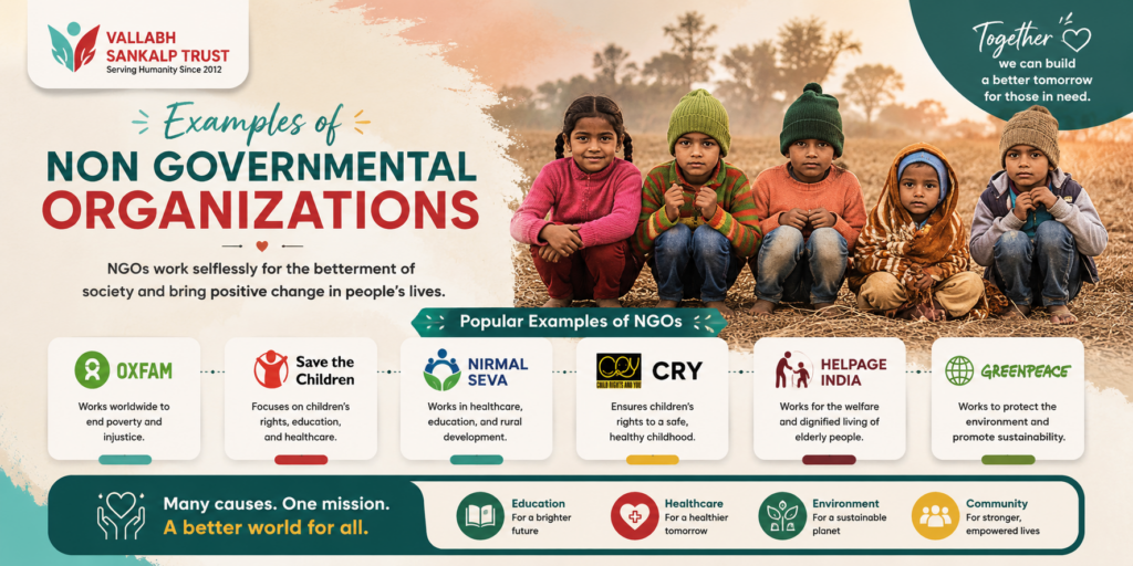 Examples of Non Governmental Organizations