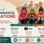 Examples of Non Governmental Organizations 3 Examples of Non Governmental Organizations