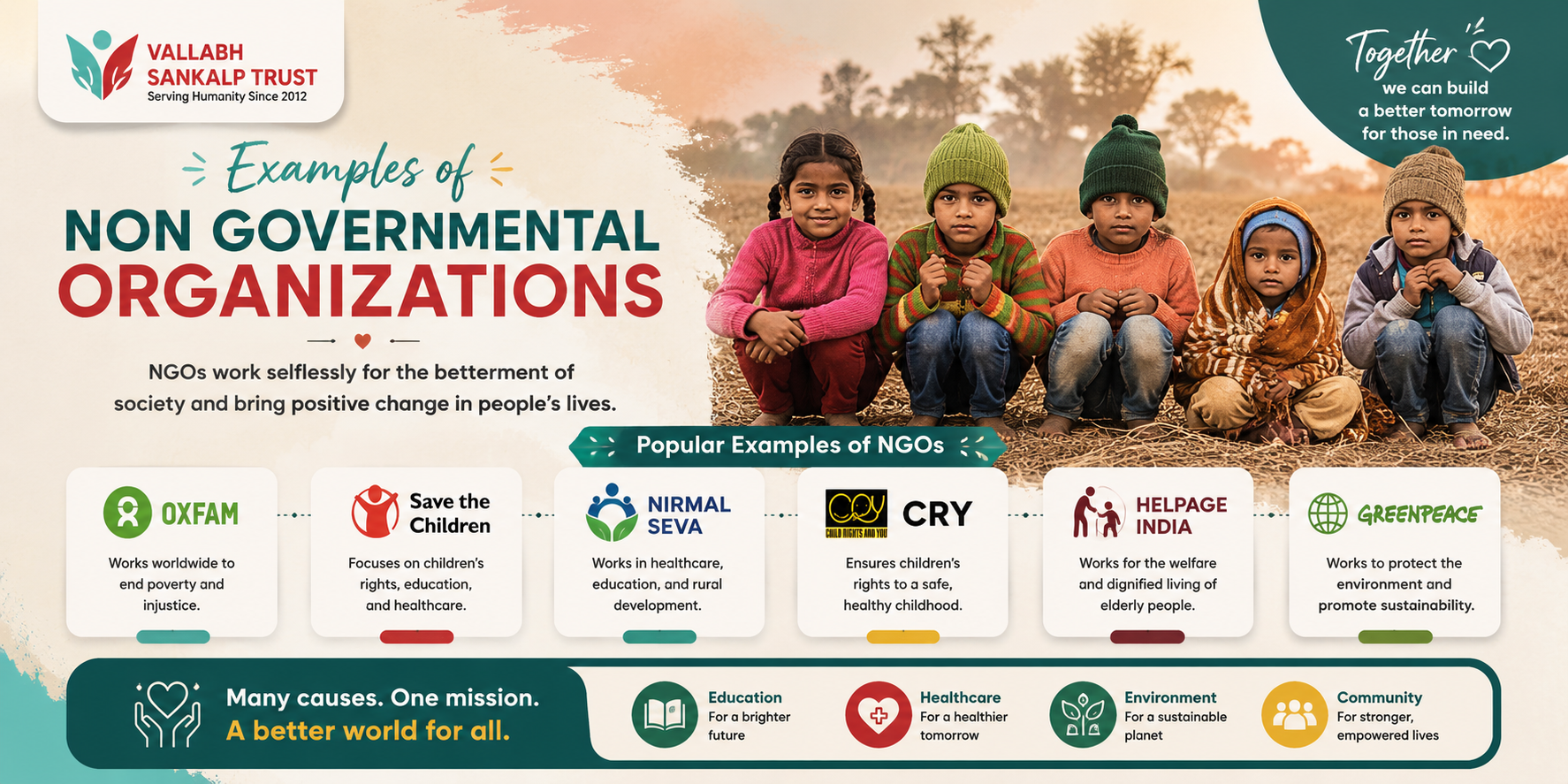 Examples of Non Governmental Organizations