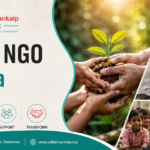 Top 10 NGO in India 3 Top 10 NGO in India