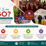What is NGO